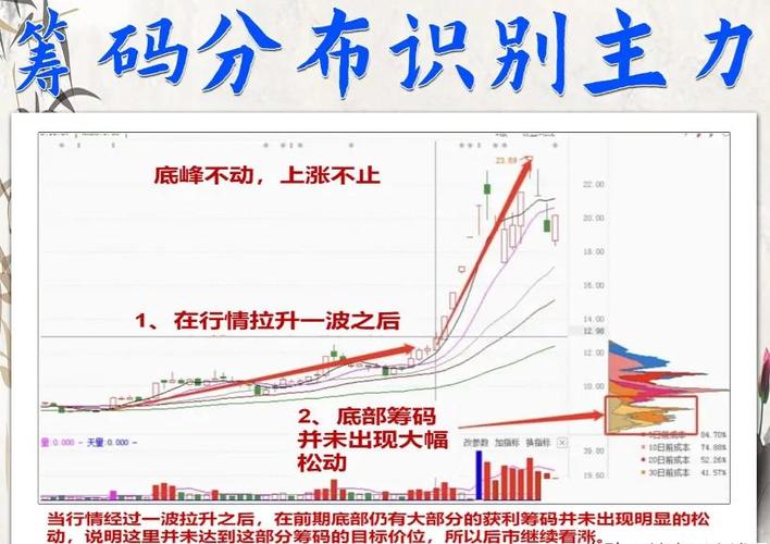 揭秘股市主力动向：精准指标助你把握股票投资趋势与成功率