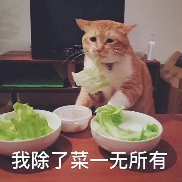 股市配资骗局_股票玩配资的是骗局_配资套路是什么