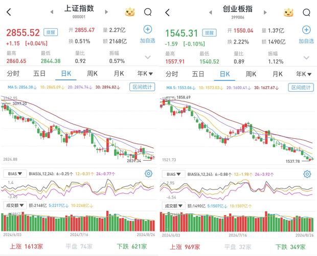 证监会查配资利好哪些股票_2019年股市上涨数据_沪深两市大幅上涨