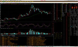 通达信股票分类管理全攻略：高效选股+风险管理，投资更顺畅