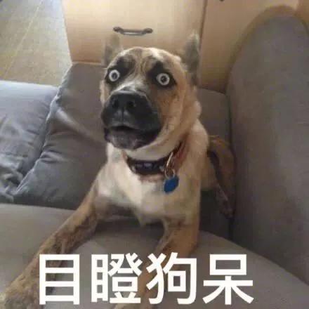 A股市场配资风险_股票配资软件开发_场外配资监管