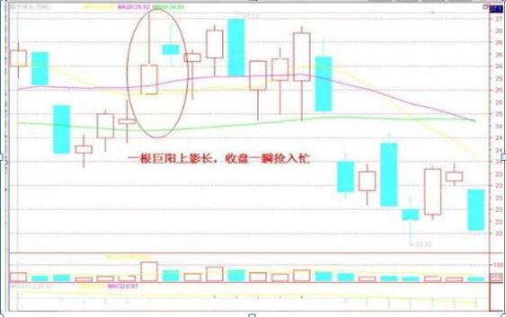 赢家眼里的股票投资规则_拉涨停需要多少资金_股票投资中输赢家比例分析