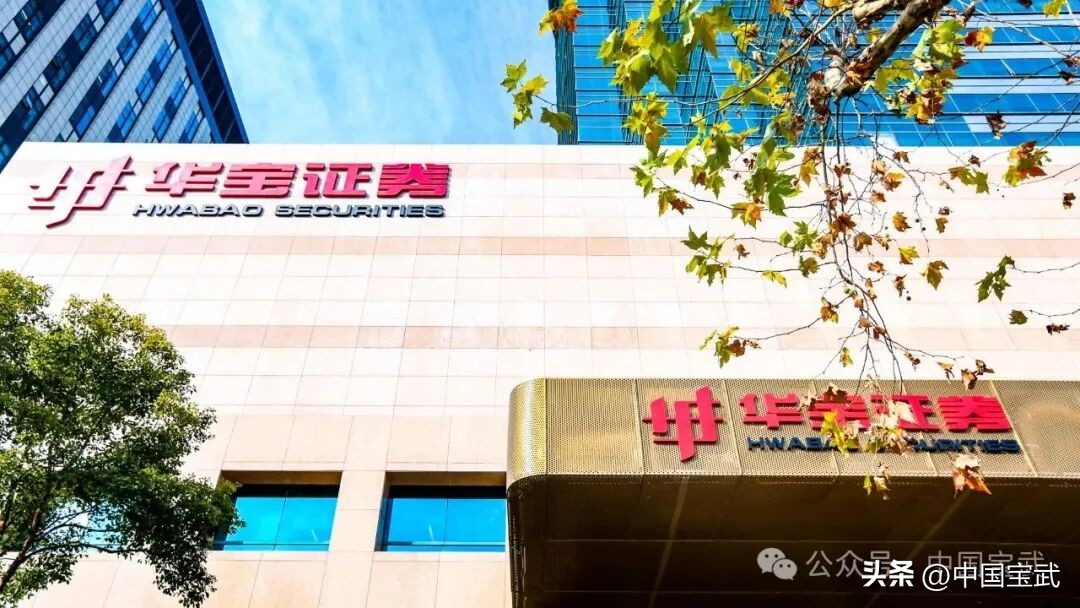 华宝证券月度支付型理财方案_华宝证券lts_低利率养老需求理财选择