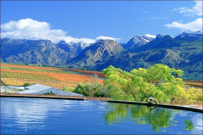 量化交易软件要多少钱_AI炒股机器人法律分析_非法经营罪证券投资咨询辩护