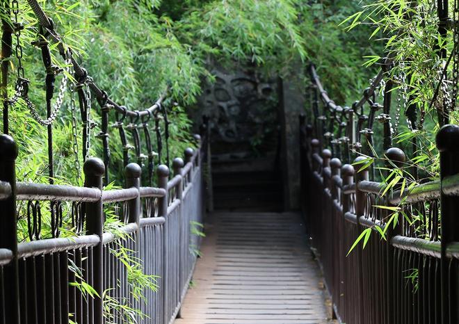 非法经营罪证券投资咨询辩护_量化交易软件要多少钱_AI炒股机器人法律分析