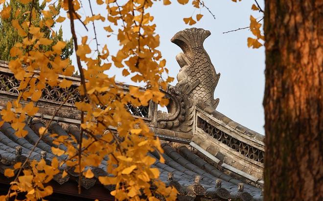 非法经营罪证券投资咨询辩护_AI炒股机器人法律分析_量化交易软件要多少钱