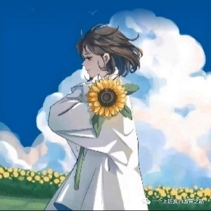 游侠股市技术指标_主力散户资金进出指标_新股民报到