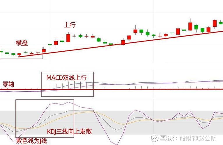 homes软件：功能强大的生活服务平台，含股票分析指标示例