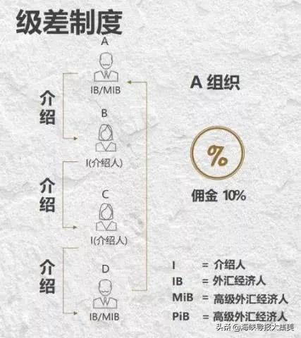 厦门股票配资公司_福建投资者血本无归事件_厦门福盈集团投资骗局