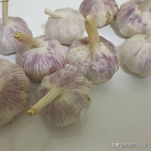 大蒜价格波动_炒股票配资亏钱_大蒜市场炒作风险