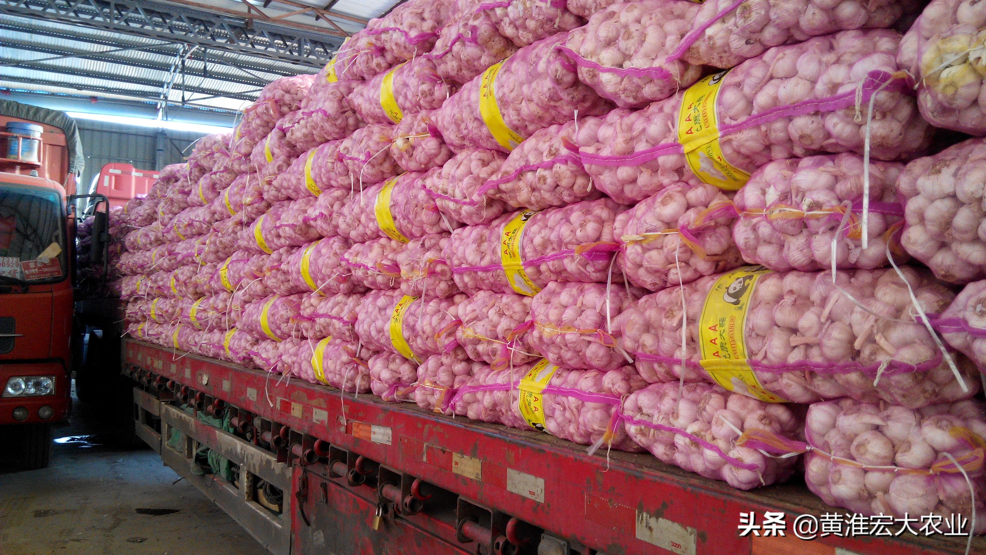 炒股票配资亏钱_大蒜市场炒作风险_大蒜价格波动