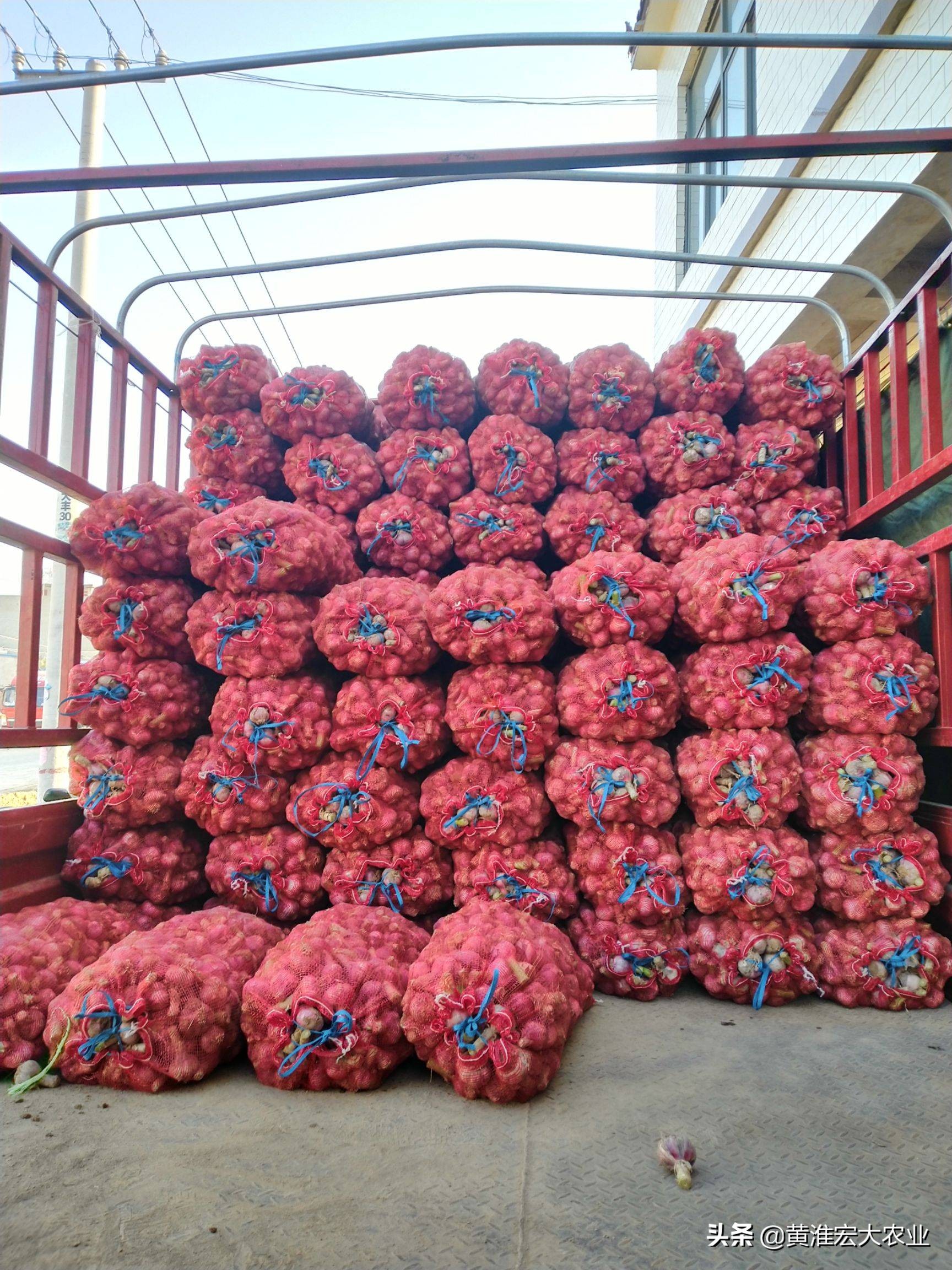 大蒜价格波动_炒股票配资亏钱_大蒜市场炒作风险